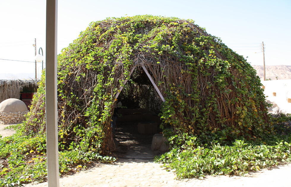 Зеленый уголок в кибуце Лотан. Фото: Яэль Лернер