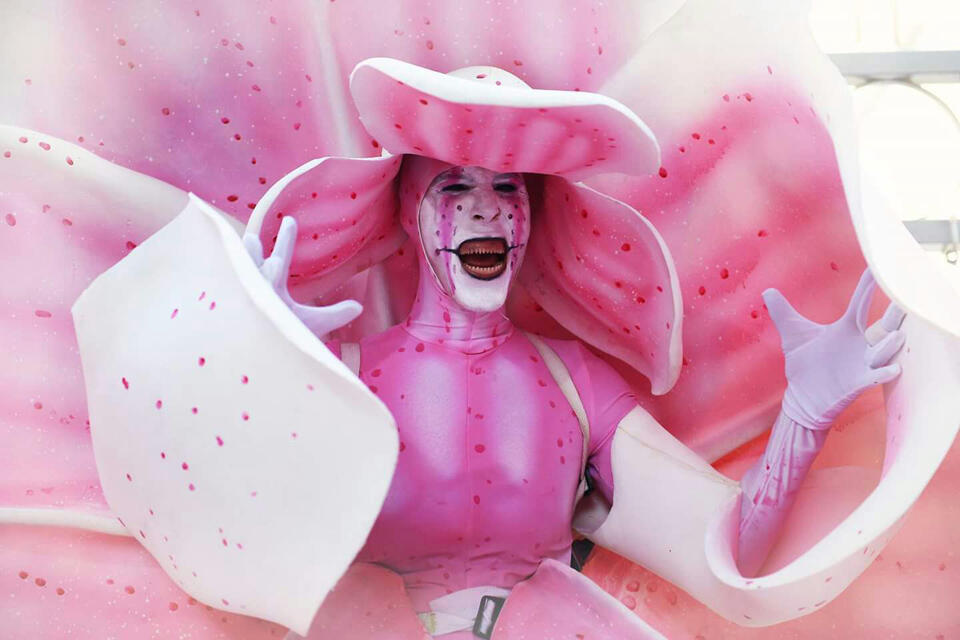 "Цветок-хищник" Фото: пресс-служба "Рош Хуцот"