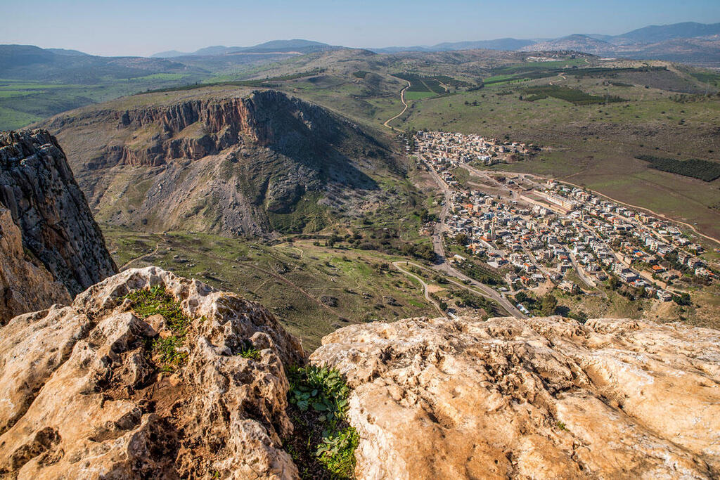 Макс Шамота