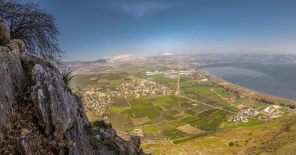 Макс Шамота