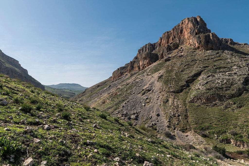 Макс Шамота