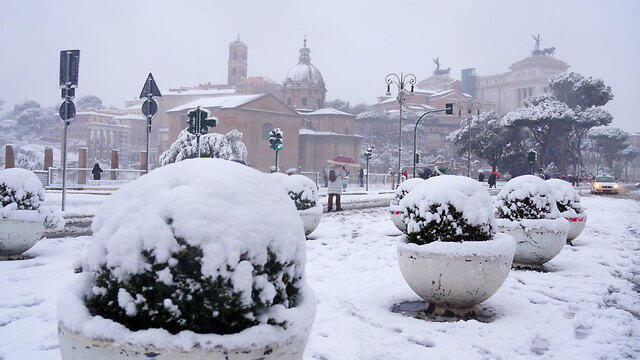 Фото: AFP (צילום: AFP) Фото: AFP