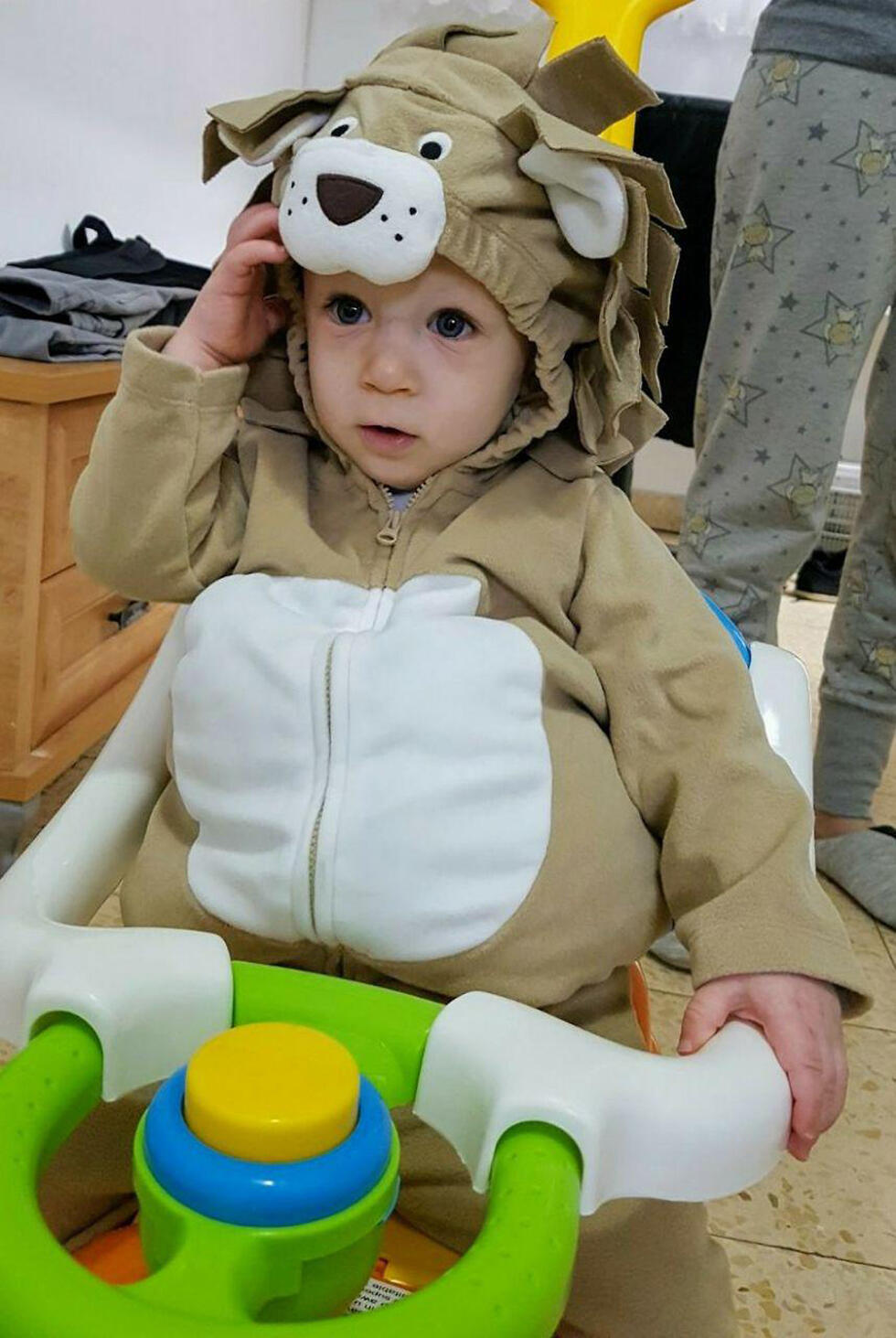 Львенок из Гиватаима