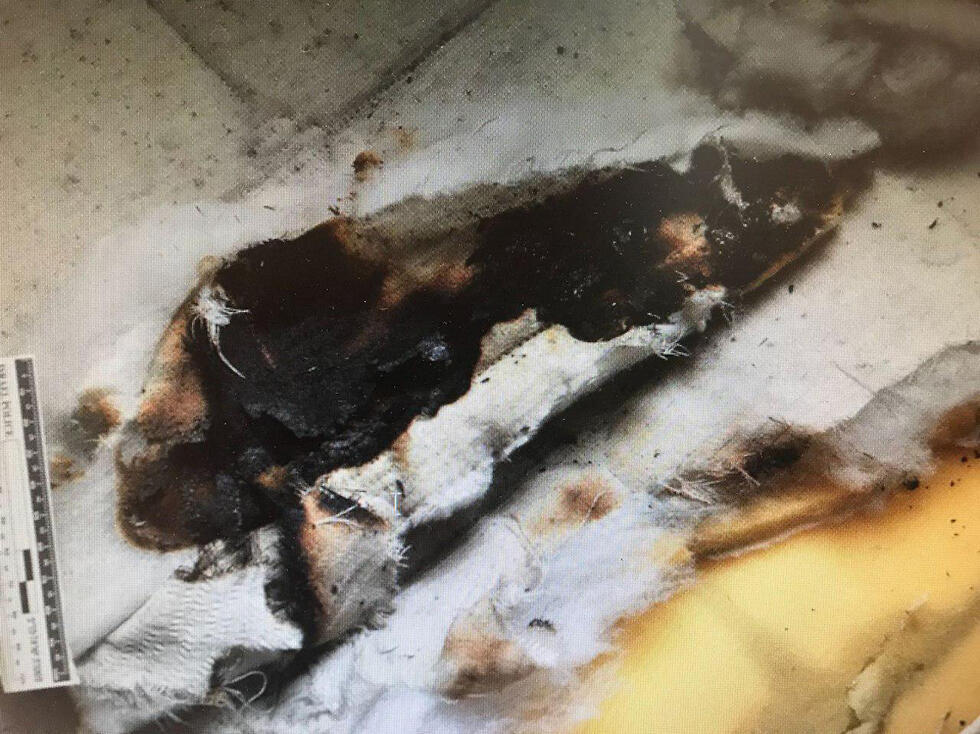 Фото: пресс-служба полиции (צילום: דוברות המשטרה) Фото: пресс-служба полиции