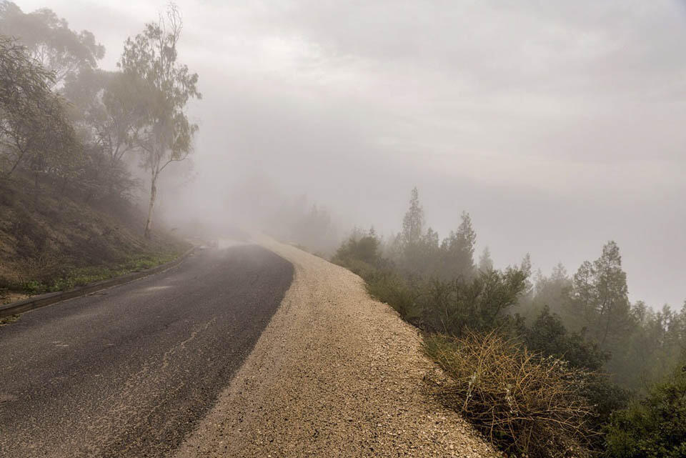 Фото: Макс Шамота