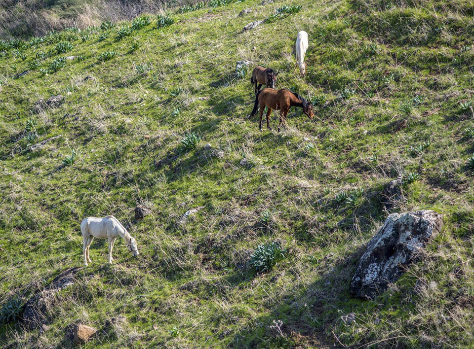 Фото: Макс Шамота