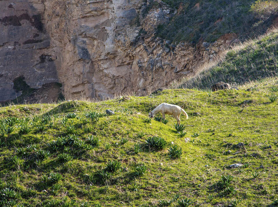 Фото: Макс Шамота