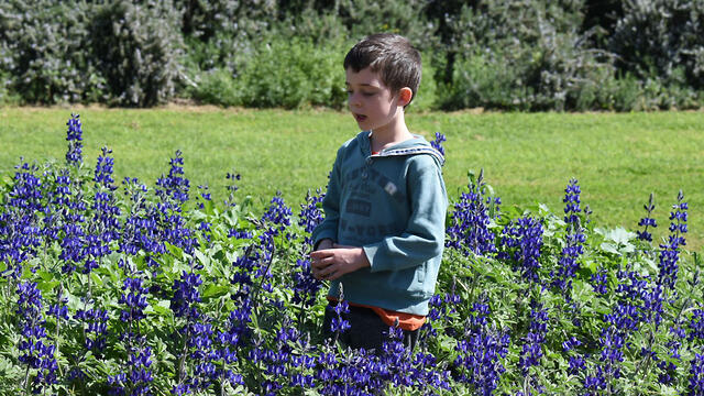 Авиягу Шапира (צילום: אביהו שפירא) Авиягу Шапира