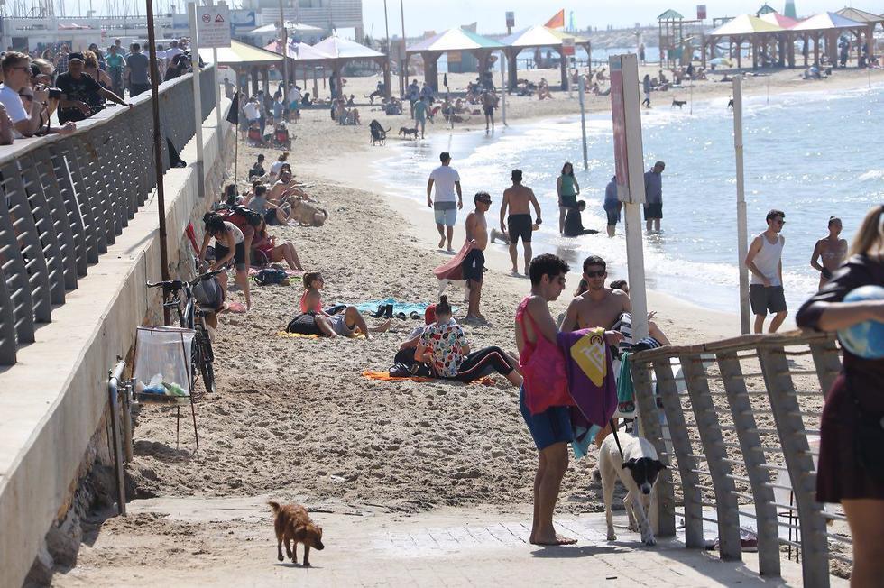 Фото: Моти Кимхи (צילום: מוטי קמחי) Фото: Моти Кимхи