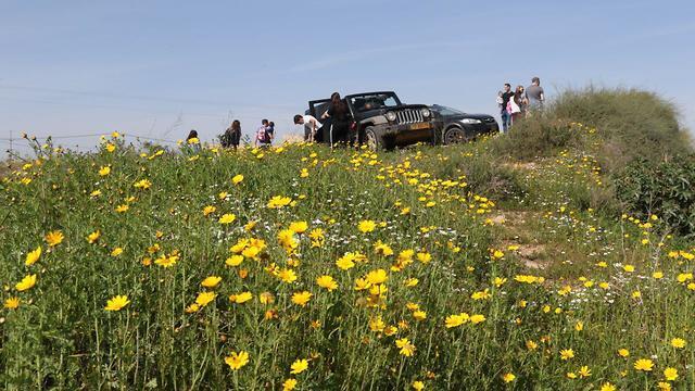 Фото: Ави Муалем