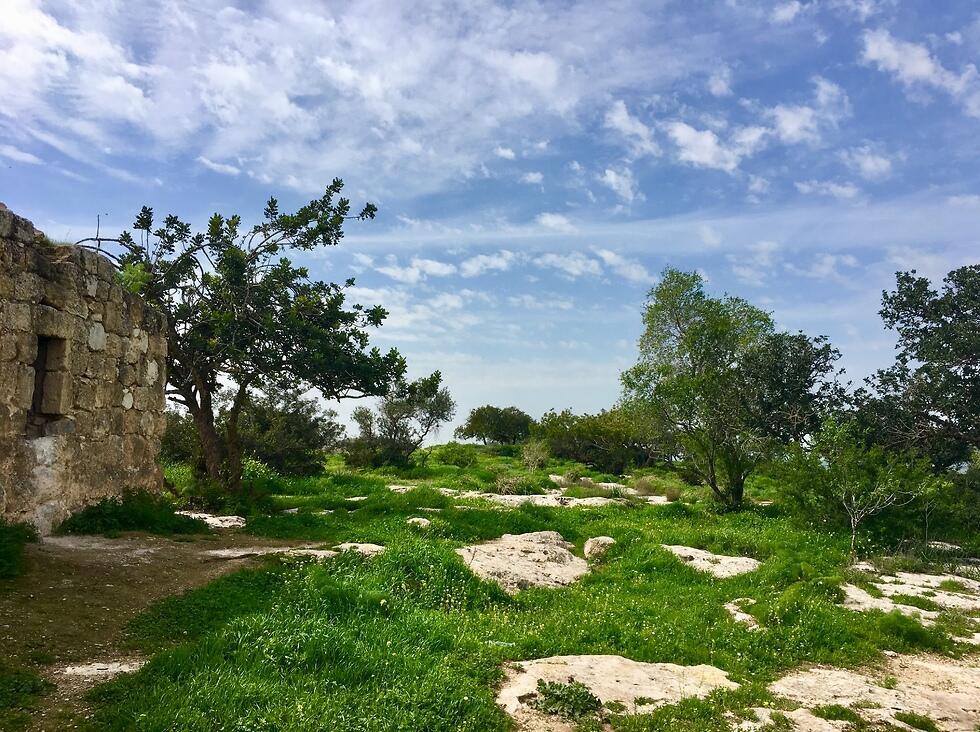 Заповедник Гваот-Гад в округе Лахиш. Фото: Яэль Лернер (צילום: יעל לרנר) Заповедник Гваот-Гад в округе Лахиш. Фото: Яэль Лернер