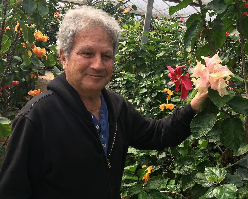 Яаков Зив и его цветы. Фото: Яэль Лернер (צילום: יעל לרנר) Яаков Зив и его цветы. Фото: Яэль Лернер