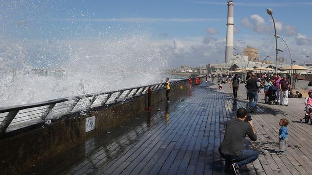 Фото: Ави Муалем (צילום: אבי מועלם) Фото: Ави Муалем
