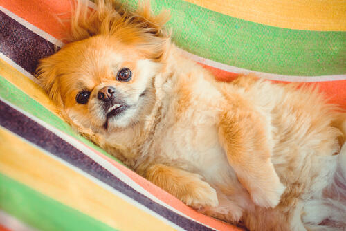 Фото: shutterstock