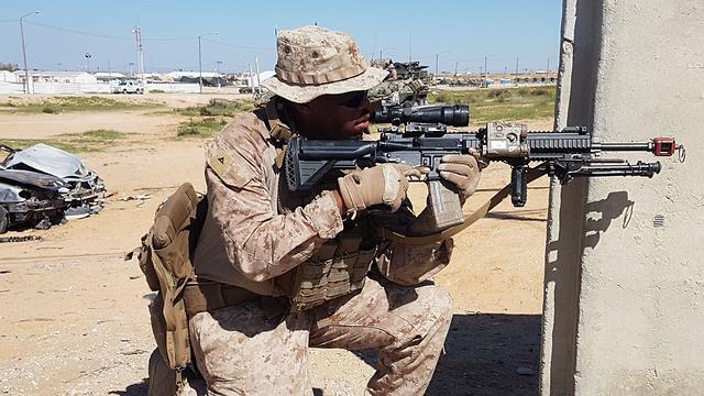 צילום: יואב זיתון