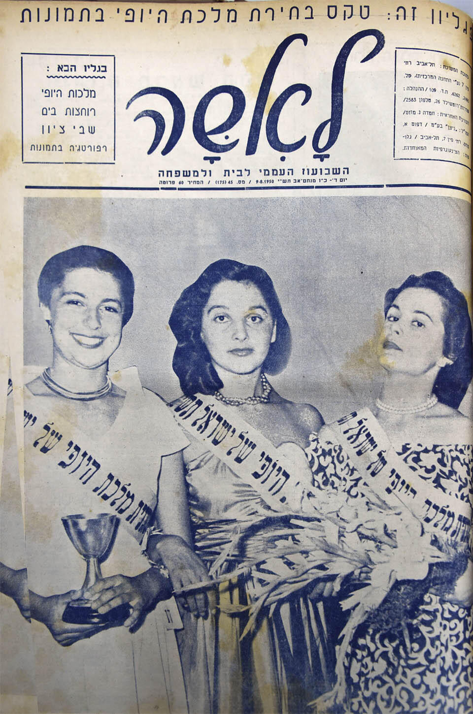 Мирьям Ярон и две вице-мисс первого израильского конкурса красоты - Кармела Фарджи и Яфа Шпицер. Фото: Элиягу Атар, архив «Едиот ахронот»