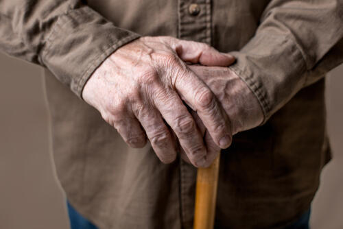 Фото: shutterstock