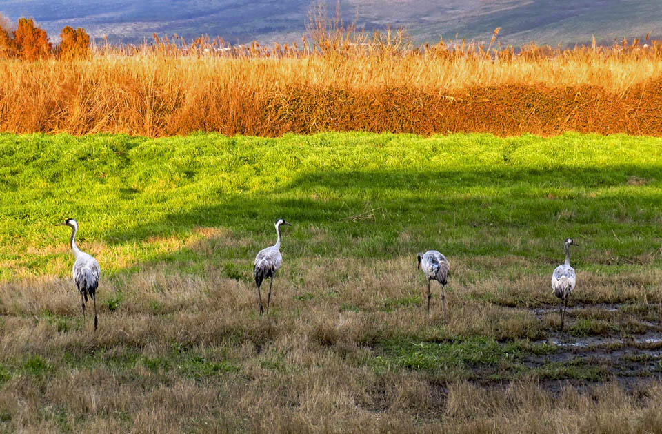Фото: Макс Шамота