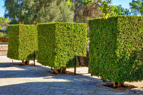 Фото: shutterstock (shutterstock) Фото: shutterstock