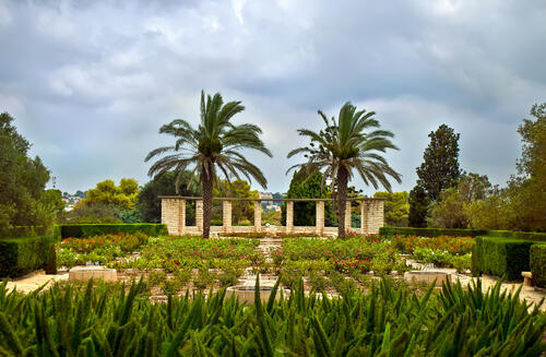 Фото: shutterstock (shutterstock) Фото: shutterstock