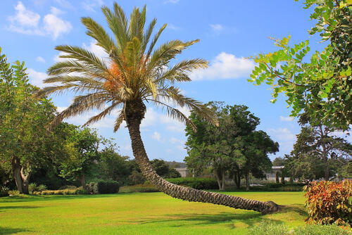 Фото: shutterstock (shutterstock) Фото: shutterstock