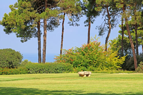 Фото: shutterstock (shutterstock) Фото: shutterstock