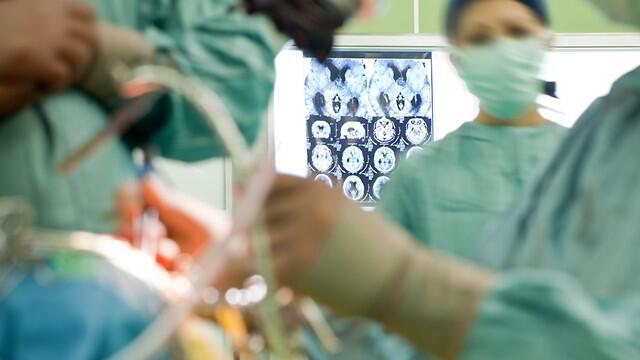 Фото: shutterstock (צילום: shutterstock) Фото: shutterstock