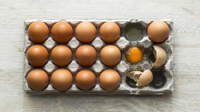 Куриные яйца подешевеют. Фото:shutterstock (צילום: shutterstock) Куриные яйца подешевеют. Фото:shutterstock