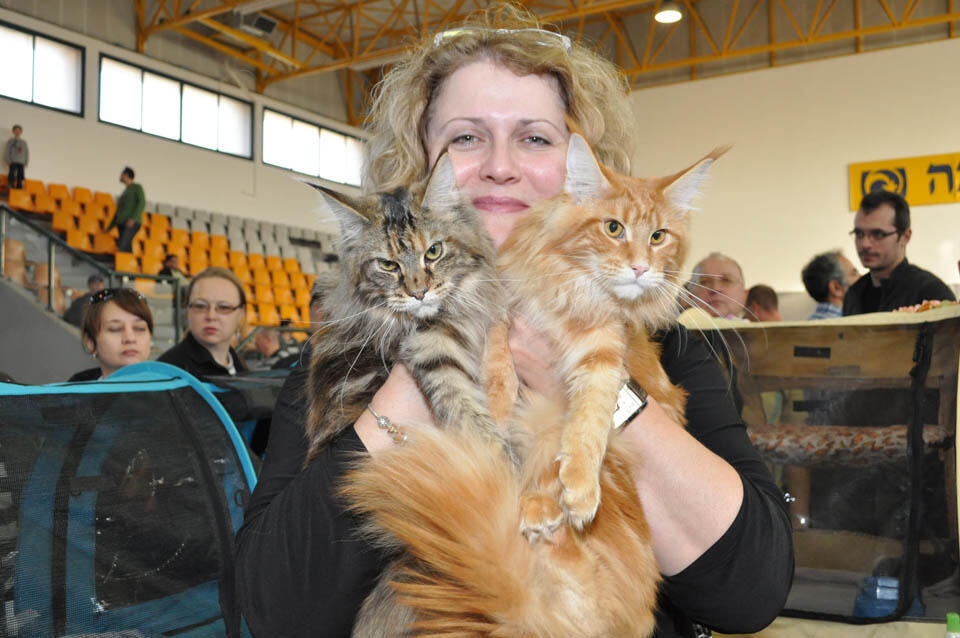  Лариса Губарева с питомцами. Фото: Александр Слободкин