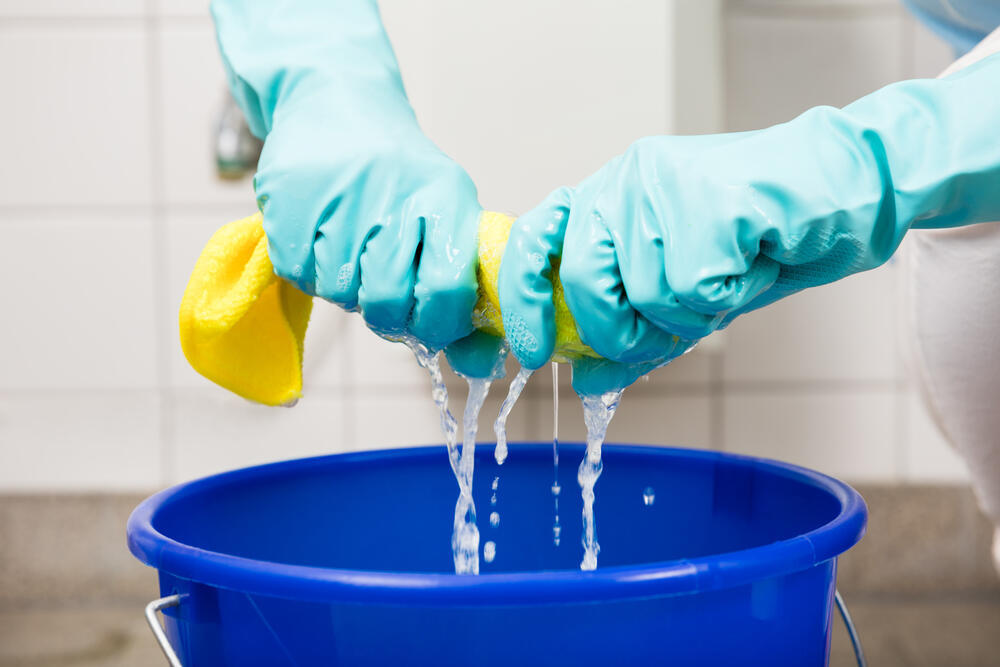 צילום: shutterstock