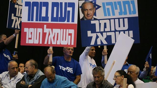 צילום: מוטי קמחי