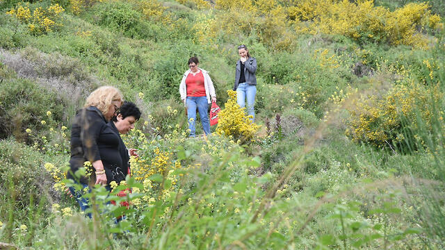 Фото: Авиягу Шапира (צילום: אביהו שפירא) Фото: Авиягу Шапира