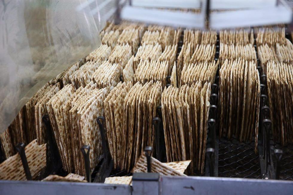 Пасхальная маца. Фото: Моти Кимхи (צילום: מוטי קמחי) Пасхальная маца. Фото: Моти Кимхи