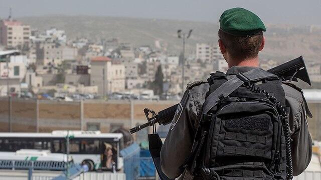  Фото: Охад Цвайгенберг