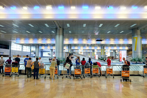 Фото: Opachevsky Irina shutterstock