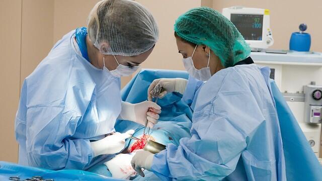 Фото: shutterstock (צילום: shutterstock) Фото: shutterstock