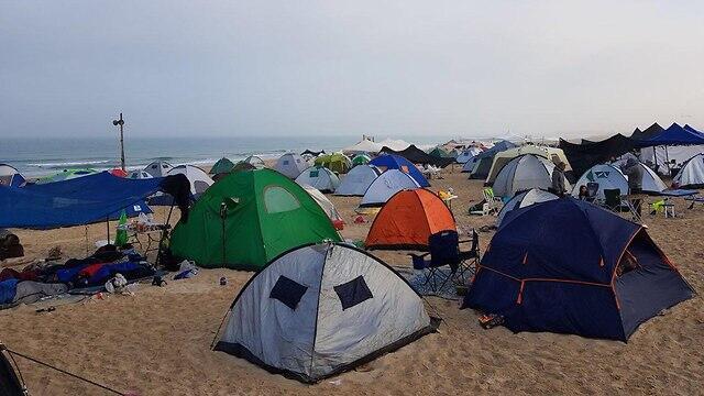 Фото: пресс-служба Управления национальных заповедников и парков