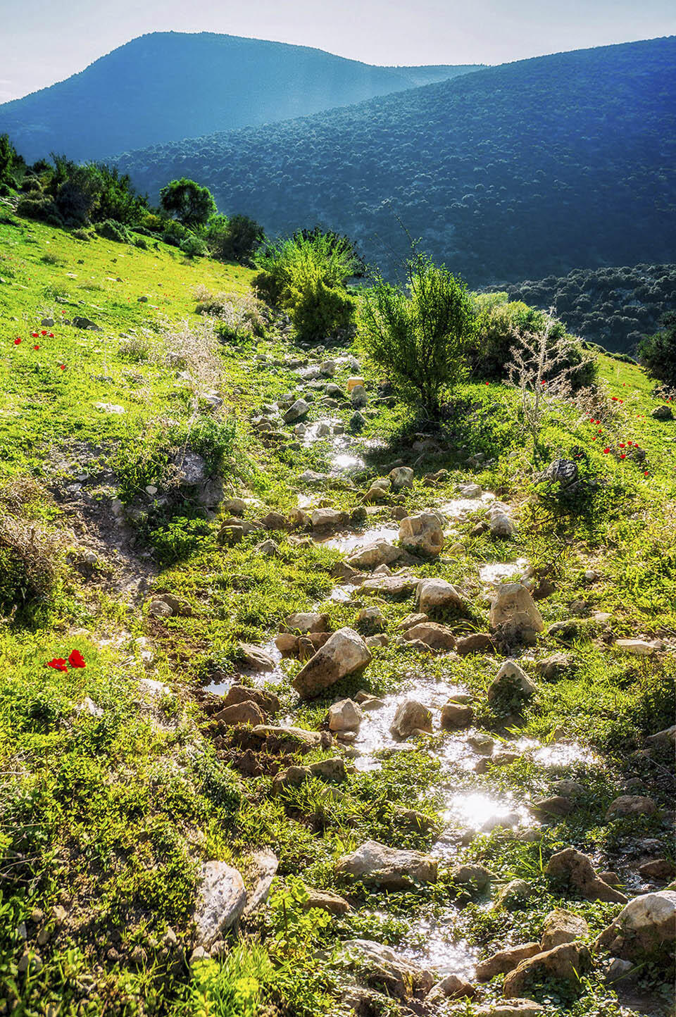 Заповедник Нахаль Амуд в Верхней Галилее