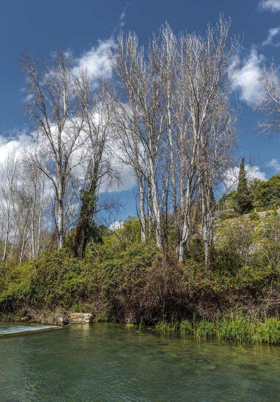 Речка Баниас