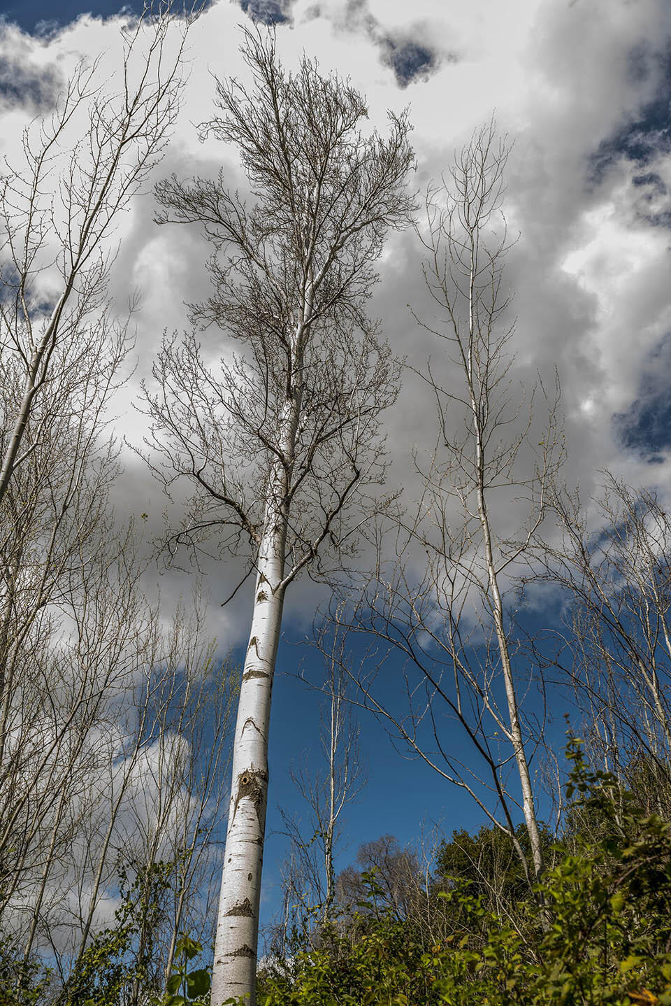 Предгорья Хермона - единственной снежной горы Израиля