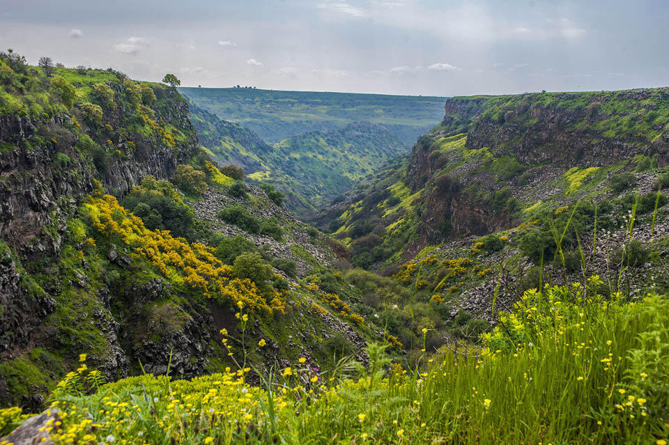 Ущелье Гамла