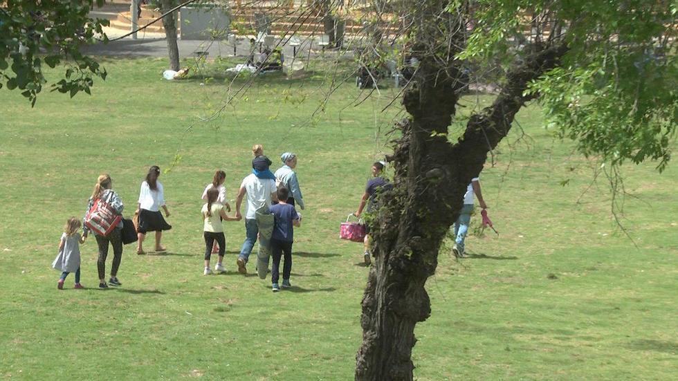 Погода комфортна для прогулок. Фото: Юваль Озри (צילום: יובל עוזרי) Погода комфортна для прогулок. Фото: Юваль Озри