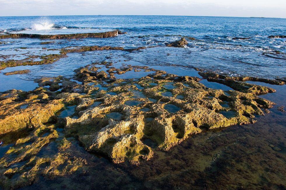 Заповедник Ахзив. Фото: Дорон Нисим (צילום: דורון ניסים) Заповедник Ахзив. Фото: Дорон Нисим