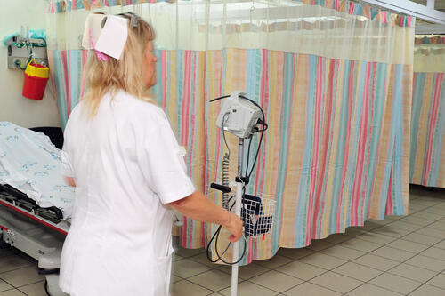 Фото: ChameleonEye shutterstock (ChameleonsEye shutterstock) Фото: ChameleonEye shutterstock