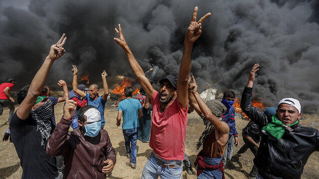 Palestinian protestors near Gaza border (צילום: MCT) Palestinian protestors near Gaza border