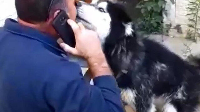 Счастливое воссоединение. Фото: пресс-служба полиции (צילום: דוברות משטרה) Счастливое воссоединение. Фото: пресс-служба полиции