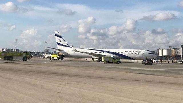 Фото: пресс-служба Управления аэропортов (צילום: דוברות רשות שדות התעופה) Фото: пресс-служба Управления аэропортов