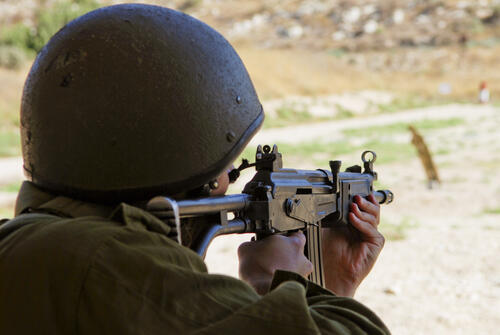 Фото: shutterstock