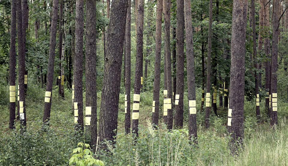 Из фильма "До последнего шага" Фото: Рон Каценельсон