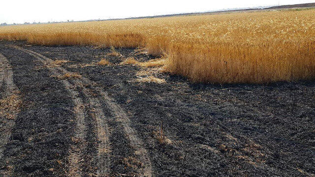 The burned wheat field in the Sha'ar HaNegev Regional Council